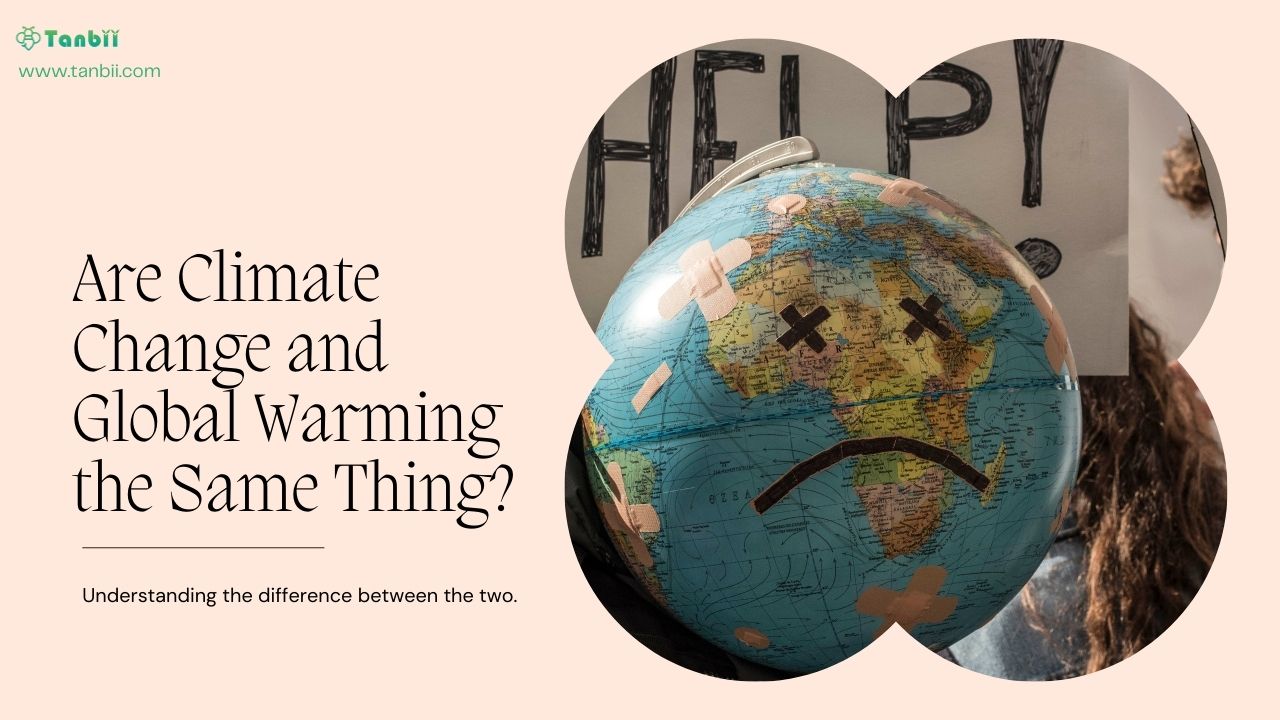 Are Climate Change and Global Warming the Same?