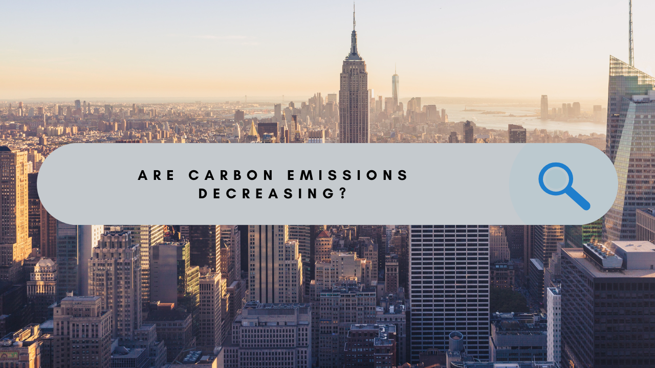 Are Carbon Emissions Decreasing?